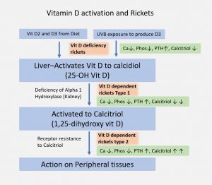 rickets and osteomalacia causes vitamin D deficiency