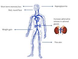 causes of bone disease hormonal