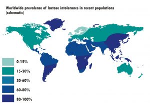 good nutrition for healthy bones lactose intolerance